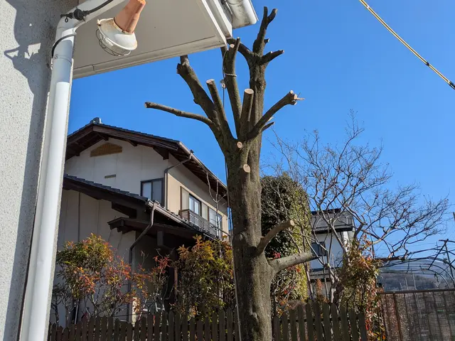 お庭を綺麗にしませんか！お客様のご要望にお答え致します。サービスの画像