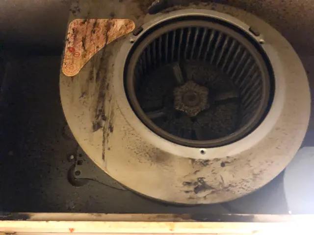 損害保険加入済み◇追加料金一切無し！プロの技術で徹底洗浄♬サービスの画像