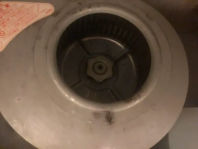 損害保険加入済み◇追加料金一切無し！プロの技術で徹底洗浄♬サービスの画像