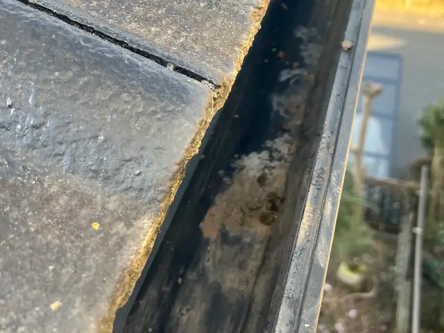 【雨樋掃除・修理】迅速・丁寧な対応！地域密着サービス！サービスの画像