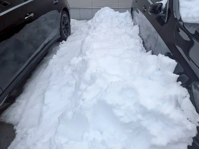 お客様のお力になります！経験と知識を活かして迅速丁寧に作業いたしますサービスの画像