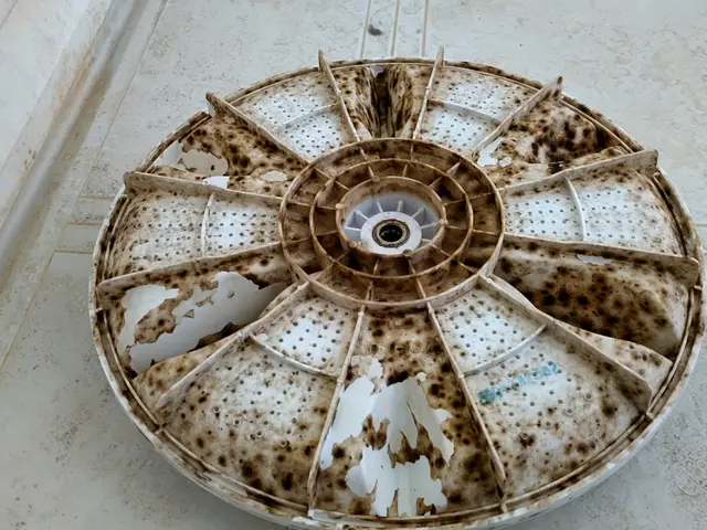 経験豊富な当店へ　洗濯機分解お掃除安心価格でご提供します◆　防カビコート無料サービスの画像