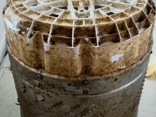 経験豊富な当店へ　洗濯機分解お掃除安心価格でご提供します◆　防カビコート無料サービスの画像