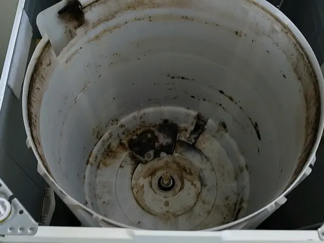 経験豊富な当店へ　洗濯機分解お掃除安心価格でご提供します◆　防カビコート無料サービスの画像