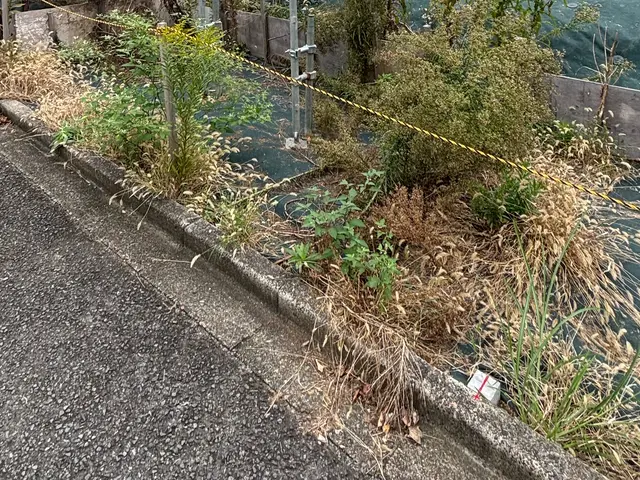 【非喫煙者】【早いレスポンス】【仕事迅速丁寧】◆お客様のお庭を美しく保つお手伝いサービスの画像