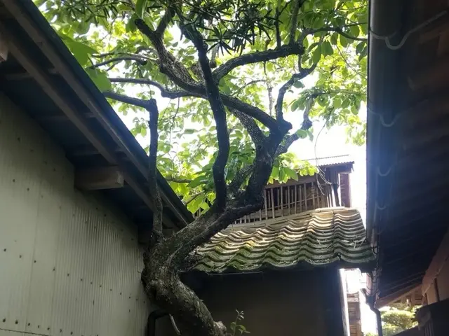 【☆地域密着で営業中☆】安心してお気軽にご相談ください！！サービスの画像