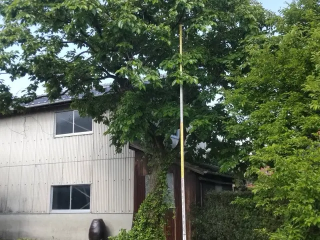 【☆地域密着で営業中☆】安心してお気軽にご相談ください！！サービスの画像