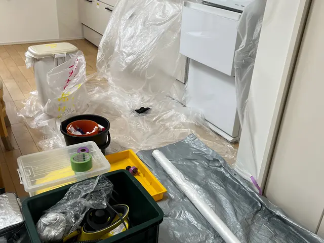 安全な洗剤で対応。臭いも汚れも綺麗スッキリ運気UP。サービスの画像