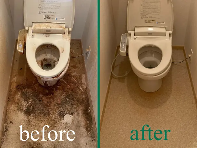 早めの大掃除いかがでしょうか？"質"に拘ったクリーニングをご提供します！サービスの画像