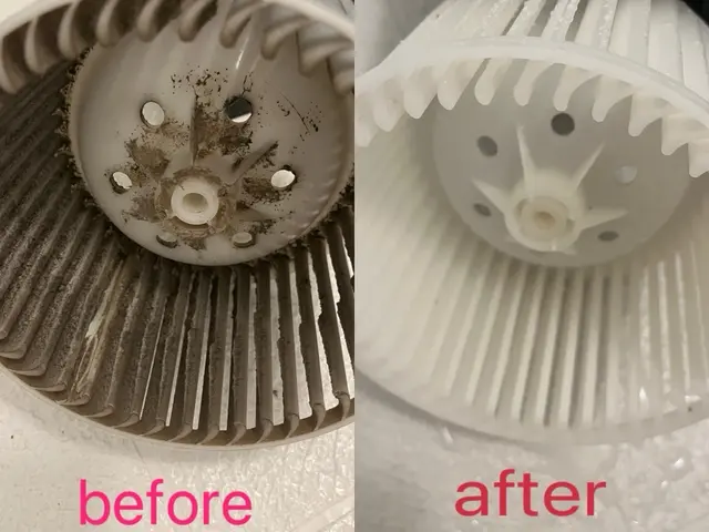 【日々使用する空間を快適に！】カビは徹底駆除！！！サービスの画像