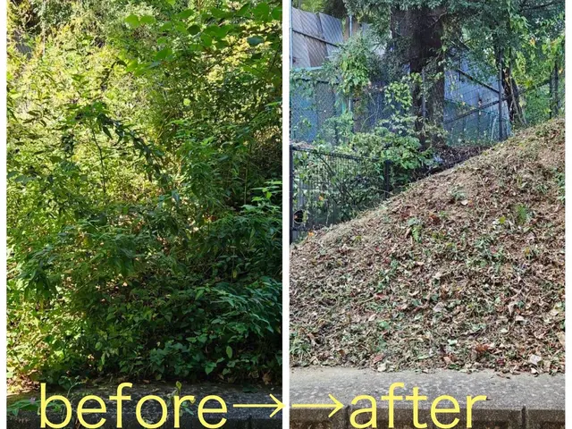 女性スタッフの同行OK◎作業外注一切なし◎当社スタッフがすべてご対応！サービスの画像