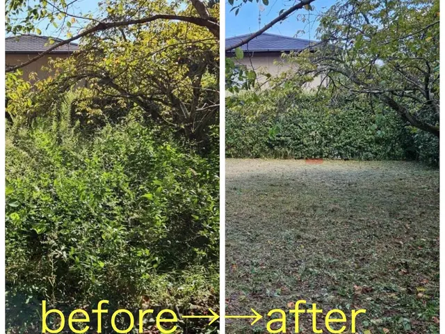 女性スタッフの同行OK◎作業外注一切なし◎当社スタッフがすべてご対応！サービスの画像