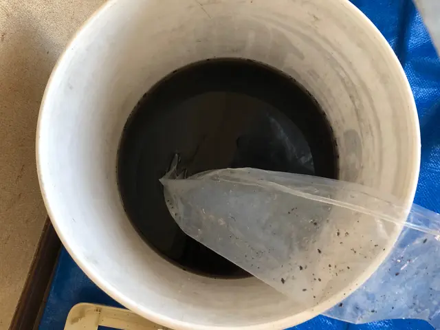 【浜松発★複数台大歓迎★安心の損害保険加入済み！★カード対応！夜も受付可！サービスの画像