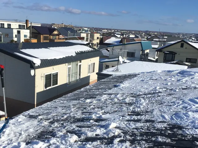 除雪、排雪（軽トラ/２tトラック）代行サービスサービスの画像