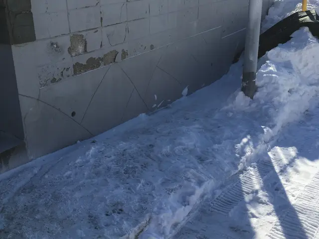 除雪、排雪（軽トラ/２tトラック）代行サービスサービスの画像