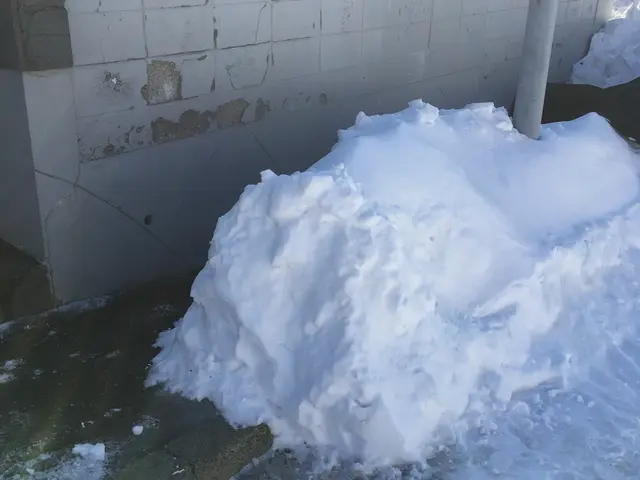 除雪、排雪（軽トラ/２tトラック）代行サービスサービスの画像