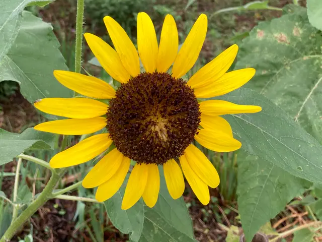 お写真でお見積もり可能！色々お悩み聞かせて下さい。サービスの画像