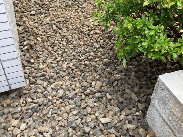 お写真でお見積もり可能！色々お悩み聞かせて下さい。サービスの画像