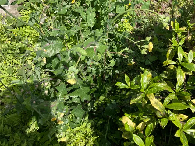 お写真でお見積もり可能！色々お悩み聞かせて下さい。サービスの画像