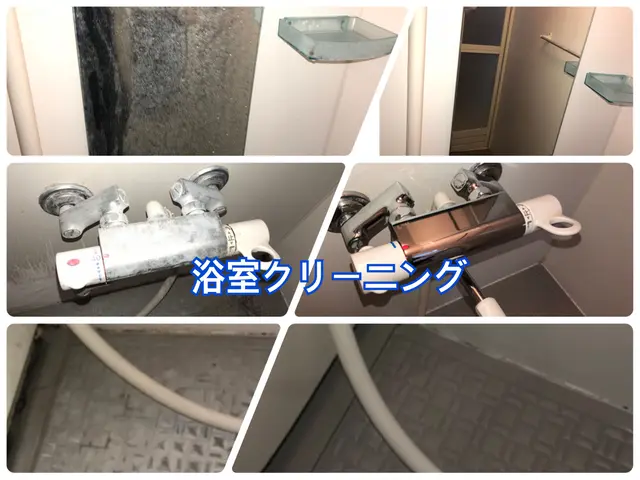 安心のハウスクリーニング士資格取得者！天然洗剤仕上げで臭い残りなし！サービスの画像