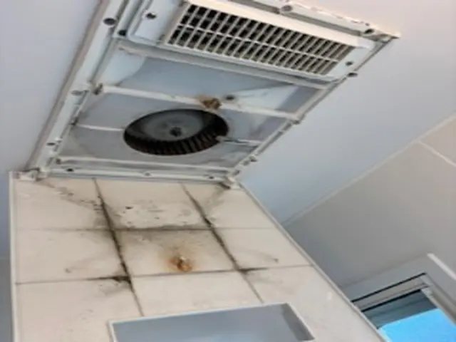 気になりだしたら止まらない！水回りのクリーニングはプロにお任せ下さい！サービスの画像