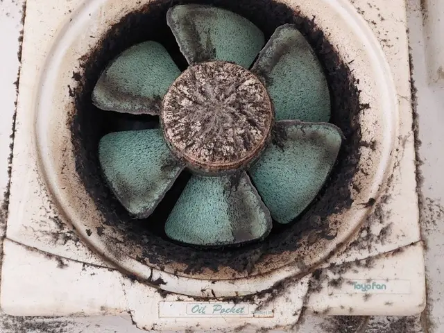 サラサラの手触りを実感！サービスの画像