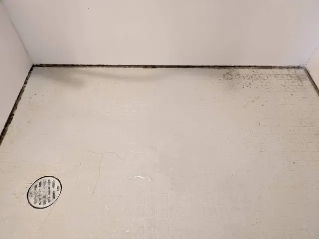 日本ハウスクリーニング振興会認定資格保持者が丁寧に作業いたします！サービスの画像