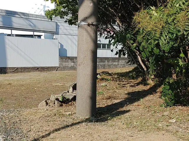 女性スタッフ同行OK！安心の損害保険加入済み◎お気軽にご相談ください。サービスの画像