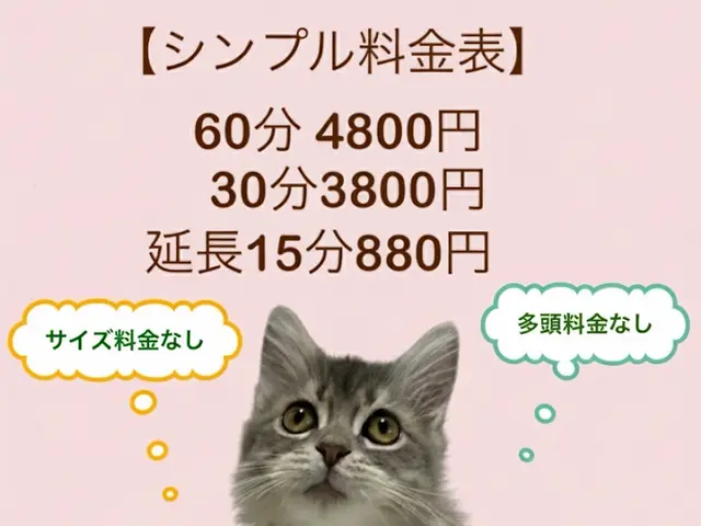 ペットシッター専門店で経験を積んだプロが対応！女性スタッフ　60分4800円サービスの画像