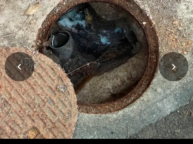 即日、翌日対応、事前にご相談、お見積もりも可能です。スカッとスッキりしましょう！サービスの画像