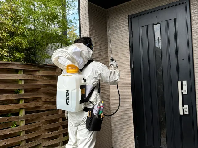 安心ハチ駆除サービスサービスの画像