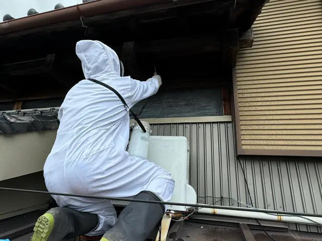 安心ハチ駆除サービスサービスの画像