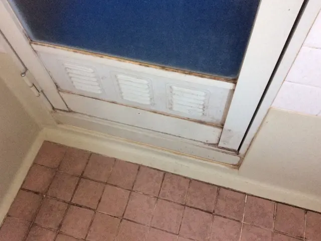 水回り徹底クリーニング！圧倒的にお得なセットプラン！サービスの画像