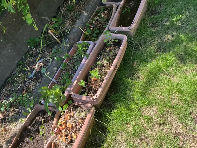 【料金納得】料金にお困りの方が利用しています！様々なケースに柔軟に対応致します！サービスの画像