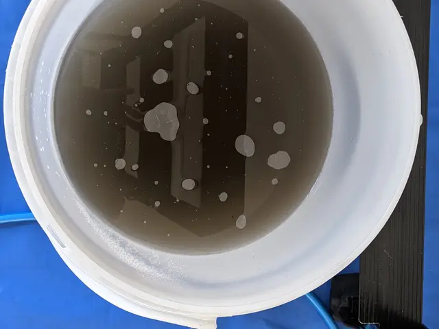 ☆クレカOK☆保険加入済み☆分解洗浄可☆プロの技術を提供しますサービスの画像