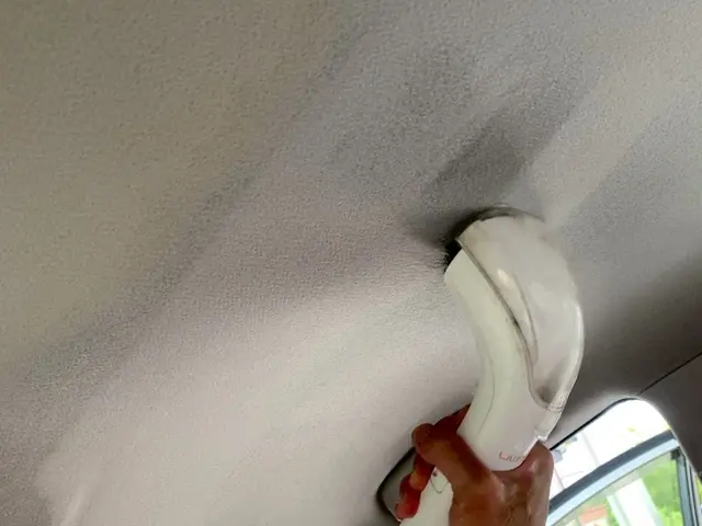 【車内清掃専門店】嘔吐/ペット/粗相/タバコ臭/ダニ駆除はお任せ下さいサービスの画像