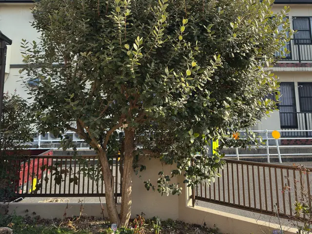 出店記念キャンペーンで地域最安値に挑戦中ですのでお気軽にご予約ください！サービスの画像