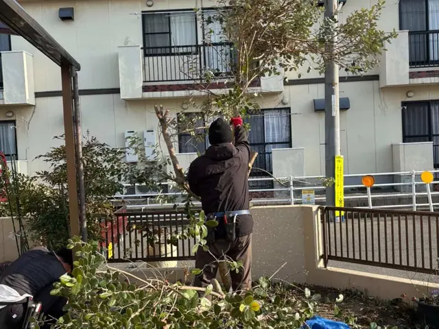 出店記念キャンペーンで地域最安値に挑戦中ですのでお気軽にご予約ください！サービスの画像