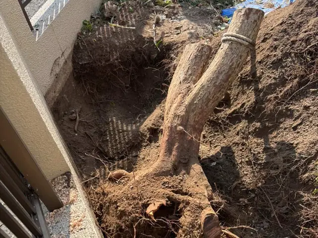 出店記念キャンペーンで地域最安値に挑戦中ですのでお気軽にご予約ください！サービスの画像