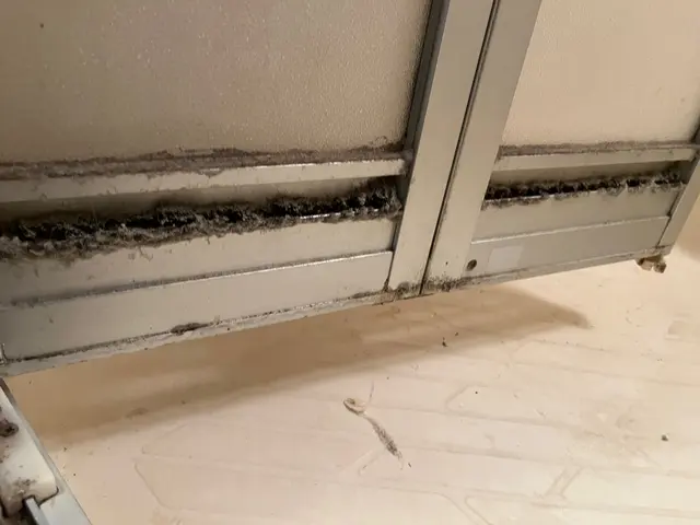 【奈良県密着】11/11〜予約可。くらしのマーケットだけの特別価格です！サービスの画像