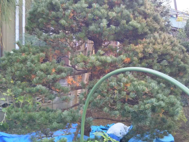 閲覧頂きありがとうございます 仮予約の前にお問い合わせから概算ご提案致しますサービスの画像