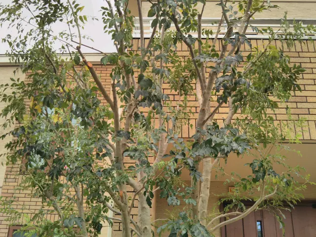 閲覧頂きありがとうございます 仮予約の前にお問い合わせから概算ご提案致しますサービスの画像