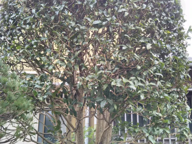 閲覧頂きありがとうございます 仮予約の前にお問い合わせから概算ご提案致しますサービスの画像