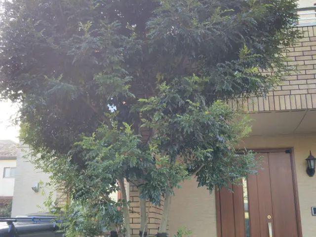 閲覧頂きありがとうございます 仮予約の前にお問い合わせから概算ご提案致しますサービスの画像