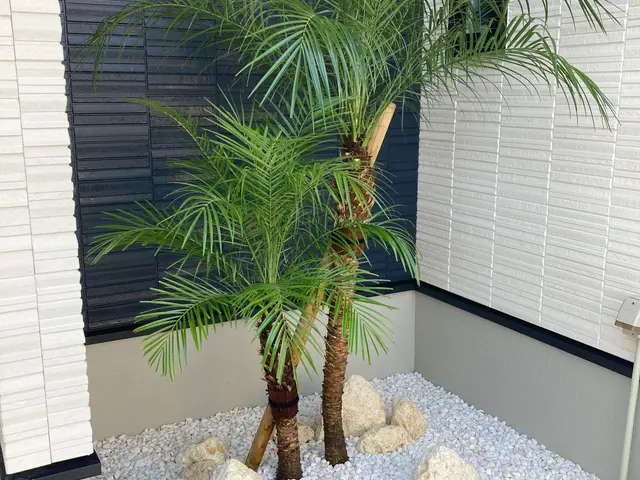 業歴19年以上★少量からでも大歓迎★緑や庭のことならお任せ下さい★一級造園技能士サービスの画像