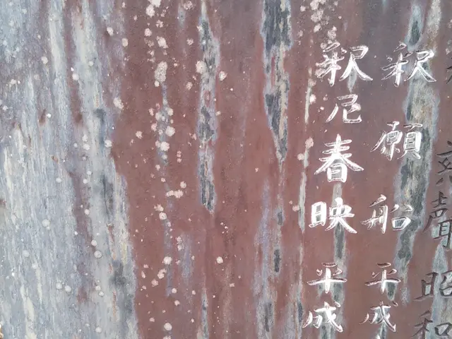 【石川県から出向します】ご供養されるという意味をこめてお墓の洗浄したい方へサービスの画像