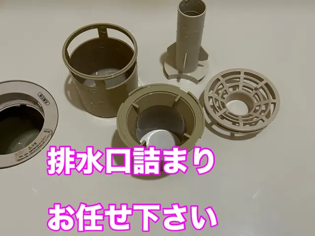 【業界歴10年】大手家電量販店の修理担当！給水，排水できない、水漏れ等対応！サービスの画像