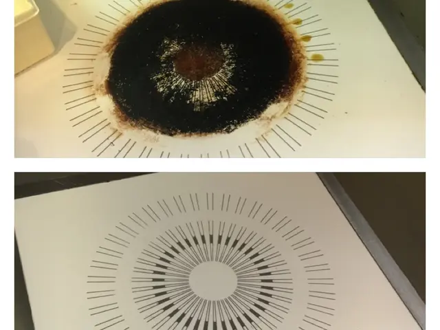 《年中無休》作業時はスリッパ持参でお伺いします！エコ洗剤使用可能◎サービスの画像