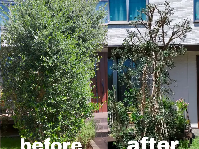 【手つかずの庭専門】☆スッキリ、さっぱり、剪定いたします(土、日、祝、大歓迎)サービスの画像