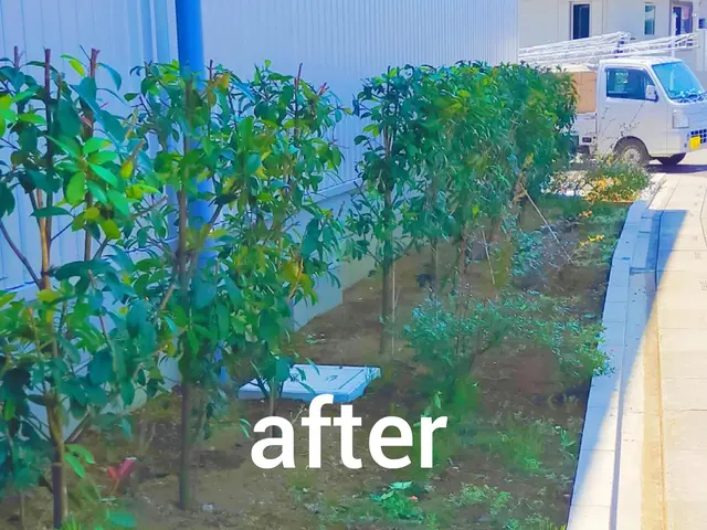 【手つかずの庭専門】☆スッキリ、さっぱり、剪定いたします(土、日、祝、大歓迎)サービスの画像